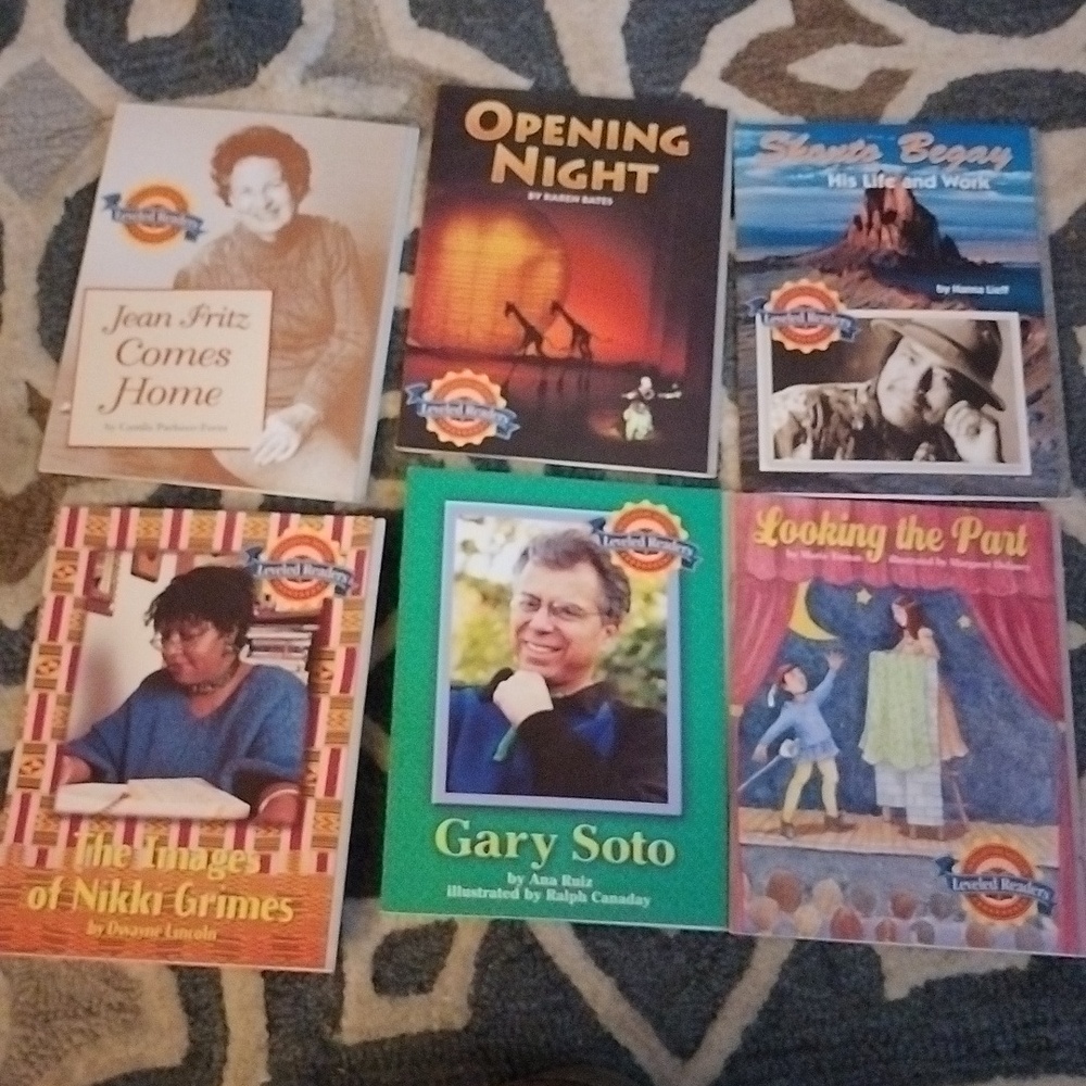 Leveled Readers-Lot of 31